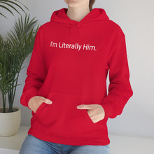 Load image into Gallery viewer, Literally Him Hoodie