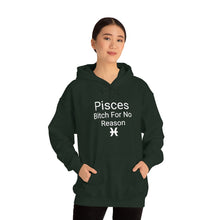 Load image into Gallery viewer, Pisces Hoodie