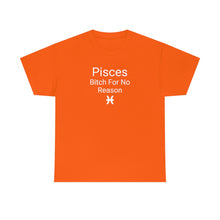 Load image into Gallery viewer, Pisces Tee