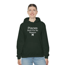 Load image into Gallery viewer, Pisces Hoodie