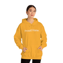 Load image into Gallery viewer, Hater Hoodie