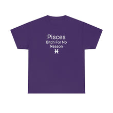 Load image into Gallery viewer, Pisces Tee
