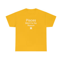 Load image into Gallery viewer, Pisces Tee
