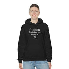 Load image into Gallery viewer, Pisces Hoodie