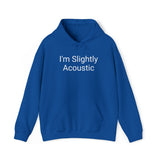 I'm Slightly Acoustic Hoodie
