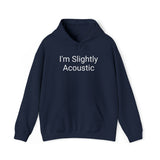 I'm Slightly Acoustic Hoodie