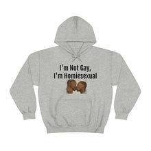 Load image into Gallery viewer, Homiesexual Hoodie
