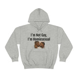 Homiesexual Hoodie