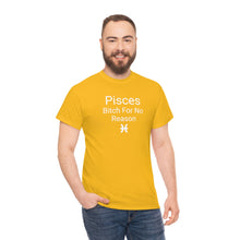 Load image into Gallery viewer, Pisces Tee

