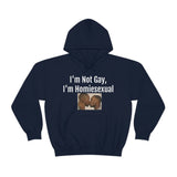 Homiesexual Hoodie
