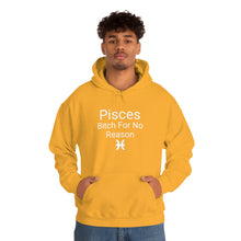 Load image into Gallery viewer, Pisces Hoodie
