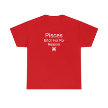 Load image into Gallery viewer, Pisces Tee
