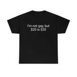 I'm not gay, but $20 is $20 Tee