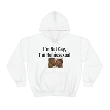 Load image into Gallery viewer, Homiesexual Hoodie
