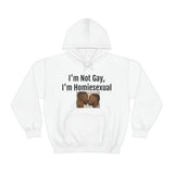 Homiesexual Hoodie