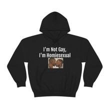 Load image into Gallery viewer, Homiesexual Hoodie
