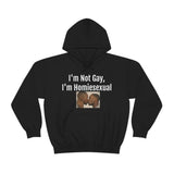 Homiesexual Hoodie
