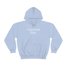 Load image into Gallery viewer, Ohio Hoodie
