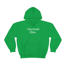 Load image into Gallery viewer, Ohio Hoodie
