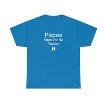 Load image into Gallery viewer, Pisces Tee
