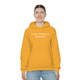 Teacher Salaries Hoodie